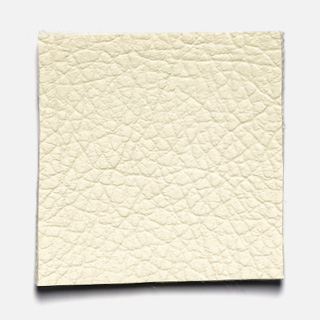 BX41 fuji Soft Leather
