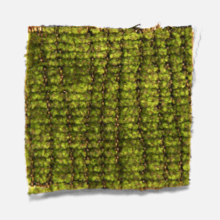 fuji Fabric