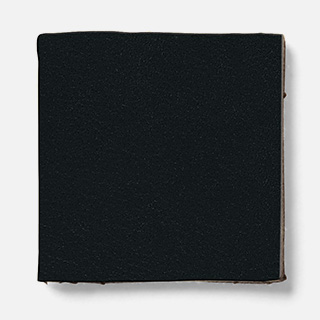 fuji Leather